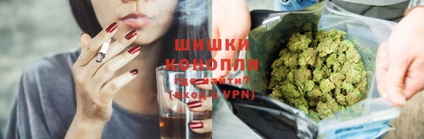 гашик Осташков