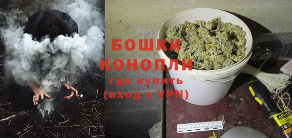 гашик Осташков